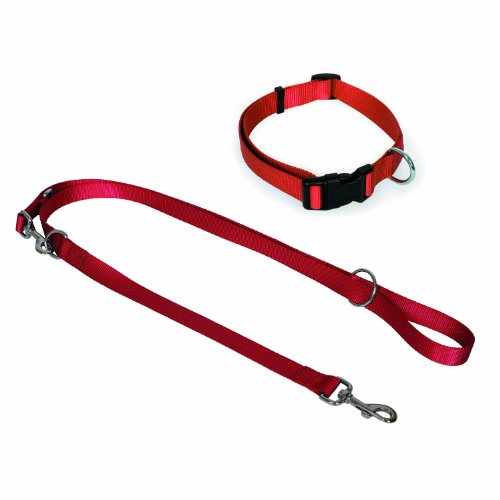 small foot company 9838 Hunde-Set Halsband und Führleine, 15 mm, rot von Small Foot