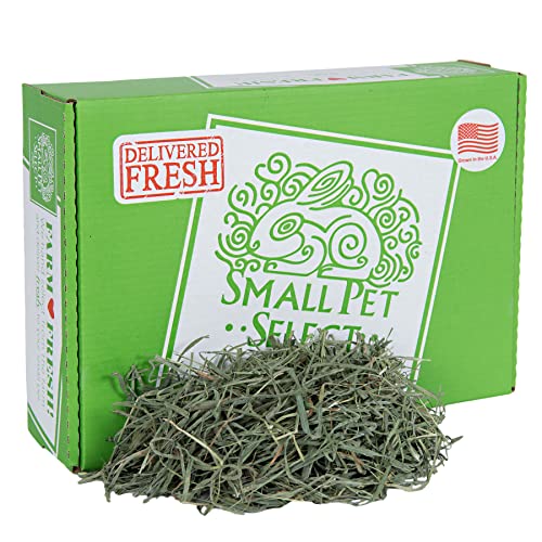 Small Pet Select 3rd Cutting Super Soft Timothy Hay Pet Food, 91 kg von SMALL PET SELECT