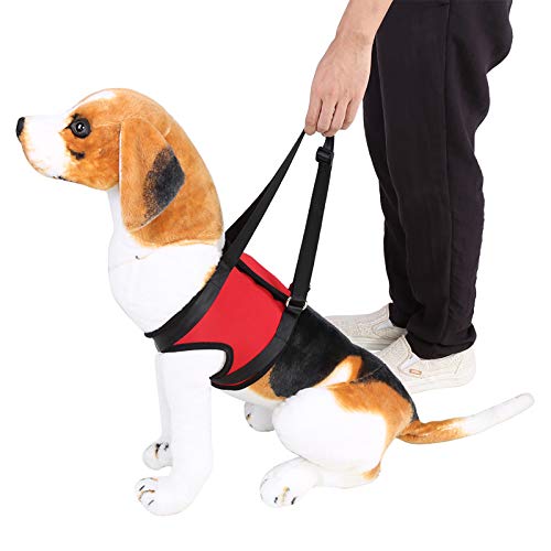 Smandy Hundegeschirr Hunde Tragehilfe Gehhilfe für Rehabilitation der Vorder- und Hinterbeine des Hundes(S für Vorderes Bein) von Smandy