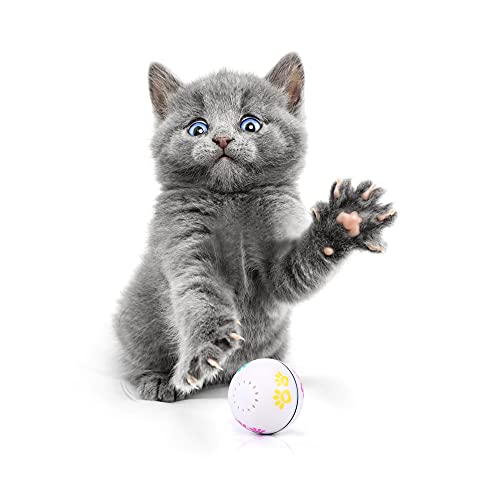 Interaktives Katzenspielzeug, Smart Rolling Dog Toys für kleine Hunde, Selbstdrehbarer Gymnastikball Welpenspielzeug Kitty Toys, Katzenminze Ball für Haustierbedarf, 1 Stück von Smarthentic