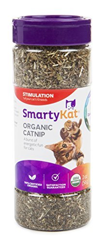 SmartyKat Bio-Katzenminze, 57 ml Kanister von SmartyKat