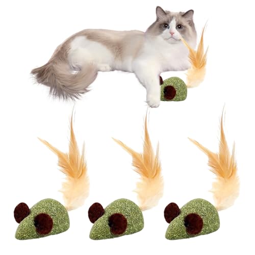 Smavles Katzenminze Ball Maus, 3 Stück Katzenminze Bälle Katze Minze Spielzeugball Katzenkugel Spielzeugkatze Minzkugel für Die Reinigung Der Katzenzähne und Den Magen-Darm Schutz Smavles Katzenminze Ball Maus, 3 Stück Katzenminze Bälle Katze Minze Spielzeugball Katzenkugel Spielzeugkatze Minzkugel für Die Reinigung Der Katzenzähne und Den Magen-Darm Schutz von Smavles