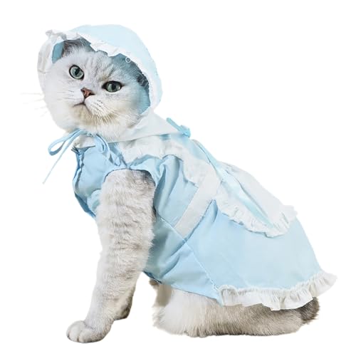 Smbcgdm Katzenrock Haustier Hund Katze Dienstmädchen Kleid mit Hut Cosplay Bequem Blau XL von Smbcgdm