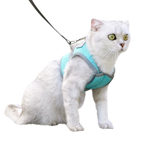 Smbcgdm Pet Leash Quick Release Cat Leash Exquisite Hemming Anti-Loose Lake Blue M von Smbcgdm