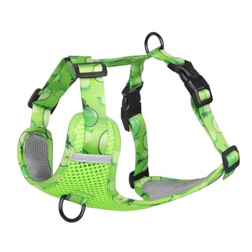 Smbcgdm Pet Traction Harness Fruit Pattern Pet Harness Outing Traction Flexible Green L von Smbcgdm