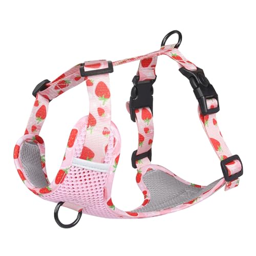 Smbcgdm Pet Traction Harness Fruit Pattern Pet Harness Outing Traction Flexible Pink L von Smbcgdm