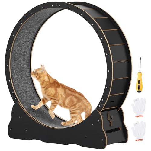 Katzenlaufrad 91cm/100cm, Laufrad für Katzen aus Holz mit abnehmbarem Teppich & Schloss, leises Katzenlaufband für Indoor-Katzen zur Gewichtsreduktion & Gesundheit (Schwarz, 100cm) von Smilesea