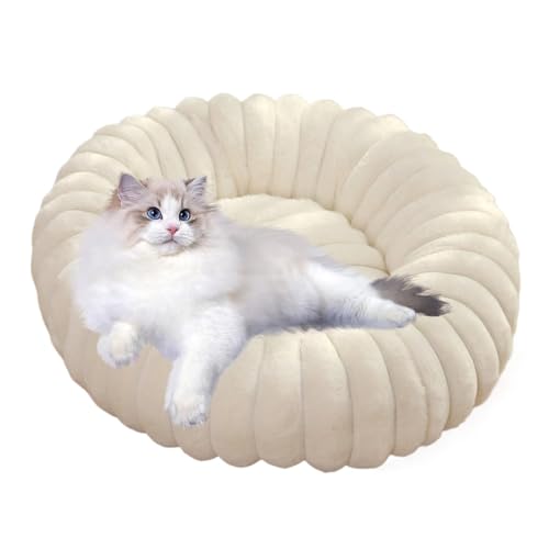 Bequemes Donut-Hundebett – 40 cm Plüsch-Hundebett, weiches Katzenbett, Donut-Katzenbett für kleine Hunde, Donut-Katzenbetten für Hauskatzen, runde Katzen-Couch, waschbar, rutschfest, für kleine Katzen Bequemes Donut-Hundebett – 40 cm Plüsch-Hundebett, weiches Katzenbett, Donut-Katzenbett für kleine Hunde, Donut-Katzenbetten für Hauskatzen, runde Katzen-Couch, waschbar, rutschfest, für kleine Katzen von Smileshiney