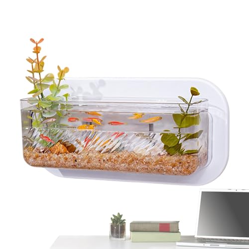 Fischschale für die Wand – kleine Pflanzenvase für Wand, Aquariumschale für Wohnzimmer, Schlafzimmer, Küche, Wohnung, Schlafsaal Fischschale für die Wand – kleine Pflanzenvase für Wand, Aquariumschale für Wohnzimmer, Schlafzimmer, Küche, Wohnung, Schlafsaal von Smileshiney