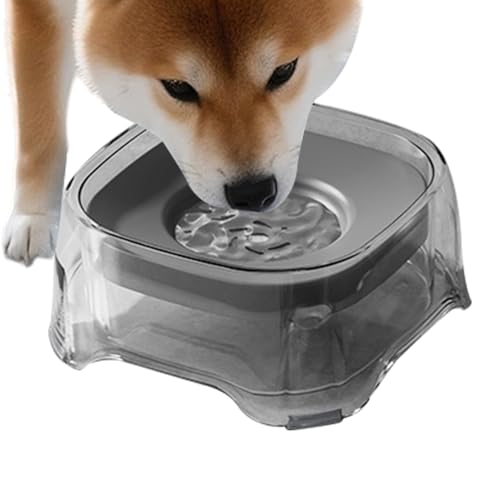 Langsam trinkender Wassernapf für Hunde, spritzwassergeschützt, Anti-Erstickung, Bewässerungsspender für mittelgroße Welpen, Kätzchen, Katzen, Tiere Langsam trinkender Wassernapf für Hunde, spritzwassergeschützt, Anti-Erstickung, Bewässerungsspender für mittelgroße Welpen, Kätzchen, Katzen, Tiere von Smileshiney