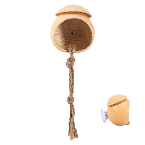 Spinnen Terrarium,Natürliches Holz Terrarium Für Springspinnen - Holz Reptilien Zubehör in Kürbisform Terrarium Dekoration für Grillen Geckos und Eidechsen Spinnen Terrarium,Natürliches Holz Terrarium Für Springspinnen - Holz Reptilien Zubehör in Kürbisform Terrarium Dekoration für Grillen Geckos und Eidechsen von Smileshiney