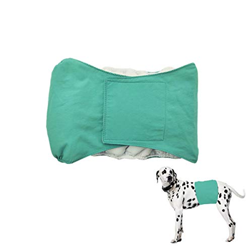 Smniao Hygieneunterhose für Hündinnen Rüden Hundewindeln Inkontinenz Haustier Weibliche groß Hund Katze Windel Schutzhose Unterwäsche (M, Grün) von Smniao