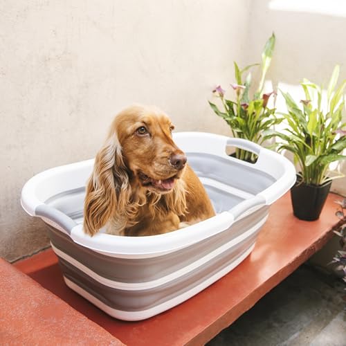 Smoochie 2 in 1 Hundebadewanne Waschstation, zusammenklappbare und tragbare Badewanne für Hunde, Katzen Baden, Dusche und Fellpflege, Indoor und Outdoor Smoochie 2 in 1 Hundebadewanne Waschstation, zusammenklappbare und tragbare Badewanne für Hunde, Katzen Baden, Dusche und Fellpflege, Indoor und Outdoor von Smoochie