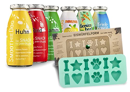 SmoothieDog Hundesmoothie 6er Probierset inkl. Eiswürfelform - Natürlicher Hundesnack für alle Hunde, mit hochwertigen Zutaten, 6 Sorten - Lamm, Rind, Huhn, Trinkpause, Immunio, Gemüsebeet, 6X 250 ml von SmoothieDog