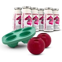 SmoothieDog Sensitivo (Pferd) 6x 250 ml + Schleckball 2 Stück von SmoothieDog