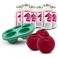 SmoothieDog Sensitivo (Pferd) 6x 250 ml + Schleckball 3 Stück von SmoothieDog