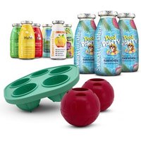 SmoothieDog Summer-Edition 3x 250 ml + Mix-Paket 6x 250 ml + Schleckball 2 Stück SmoothieDog Summer-Edition 3x 250 ml + Mix-Paket 6x 250 ml + Schleckball 2 Stück von SmoothieDog