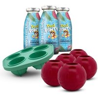 SmoothieDog Summer-Edition 3x 250 ml + Schleckball 5 Stück von SmoothieDog