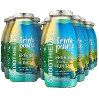SmoothieDog Trinkpause 12x250 ml von SmoothieDog