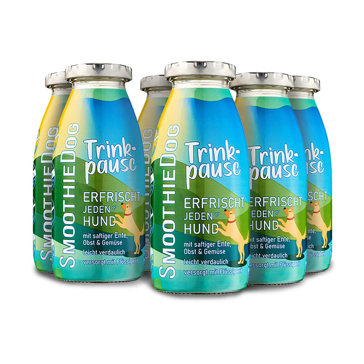 SmoothieDog Trinkpause 6x250ml SmoothieDog Trinkpause 6x250ml von SmoothieDog