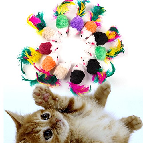 100pcs Katze Maus Spielzeug Federmaus interaktive Mini lustige Tier spielt Spielzeug für Katzen Kätzchen von Sarekung
