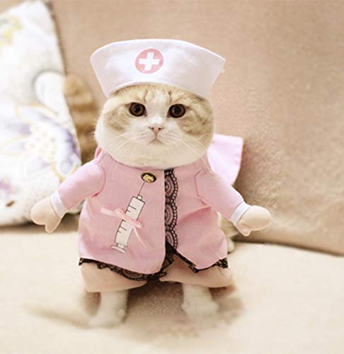 Sexy Krankenschwester-Kleidungsanzug Super süße Kostüme für Welpenkatzen von Sarekung