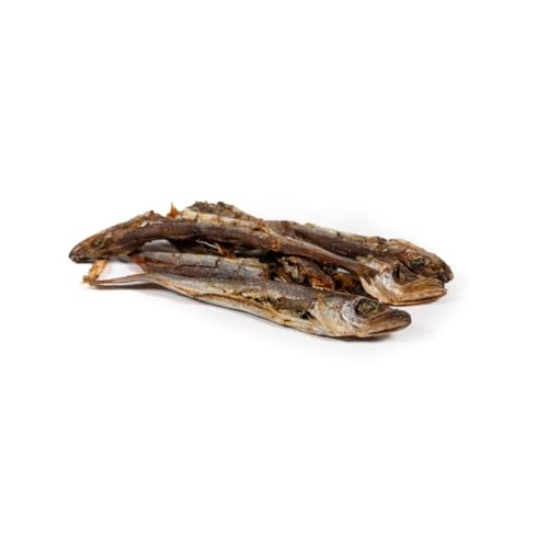 Snackys Fish Wet Food Marke: Snackys EAN 8432288117842 Snackys Fish Wet Food Marke: Snackys EAN 8432288117842 von Snackys