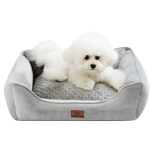 Snocyo Hundebett Kleine und Mittelgroße Hunde, Katzenbett Flauschig und Kuschelig, Waschbar und Super Weiches Hundesofa Hundekissen, Gepolstert Hundematte, Grau, 65×55×18cm Snocyo Hundebett Kleine und Mittelgroße Hunde, Katzenbett Flauschig und Kuschelig, Waschbar und Super Weiches Hundesofa Hundekissen, Gepolstert Hundematte, Grau, 65×55×18cm von Snocyo