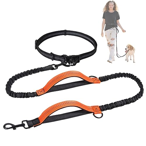 Snocyo Joggingleine Hunde, Jogging Hundeleine für Mittelgroße und Große Hunde, Elastische und Reflektierende Hundeleine, Einziehbare Leine mit Doppelgriff & Taillengürtel Snocyo Joggingleine Hunde, Jogging Hundeleine für Mittelgroße und Große Hunde, Elastische und Reflektierende Hundeleine, Einziehbare Leine mit Doppelgriff & Taillengürtel von Snocyo