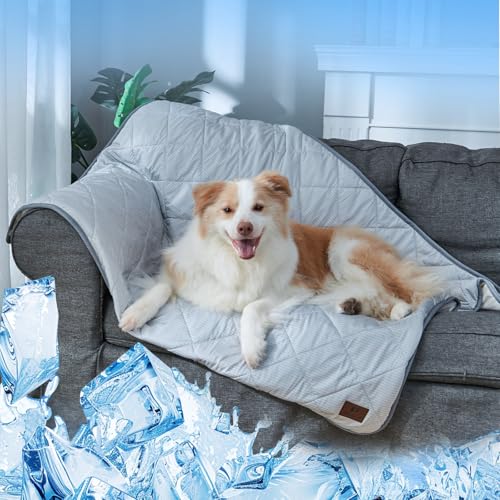Snocyo Kühldecke für Hunde waschbar, Q-MAX>0.4, wasserdichte Hundedecke 60×47cm, doppelseitige kühlende und plüschige Haustierdecke, kühlende Sofadecke für kleine Hunde Snocyo Kühldecke für Hunde waschbar, Q-MAX>0.4, wasserdichte Hundedecke 60×47cm, doppelseitige kühlende und plüschige Haustierdecke, kühlende Sofadecke für kleine Hunde von Snocyo