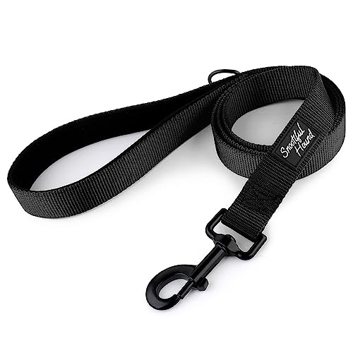 Snootiful Hound Gepolsterte Hundeleine, 120 cm, 150 cm, 200 cm, leuchtende Farben, Schwarz, Rot, Rosa, Blau, Grün, Grau – Leine mit Komfortgriff (Schwarz, 200 cm) von Snootiful Hound