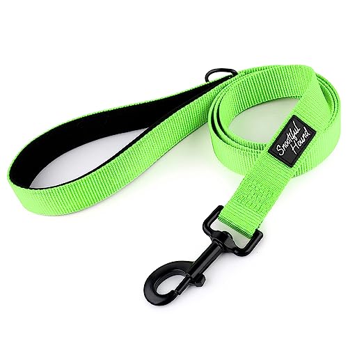 Snootiful Hound Hundeleine mit Komfortgriff, 120 cm/150 cm, leuchtende Farben, gepolsterte Hundeleine (Grün, 150 cm) von Snootiful Hound