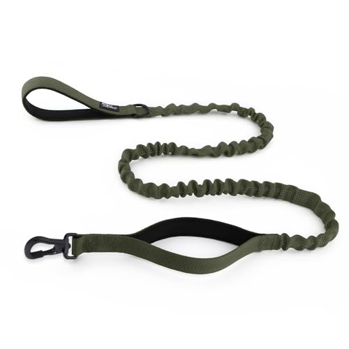 Snootiful Hound Secure Bungee Hundeleine mit Karabinerhaken – Doppelgriff stoßdämpfende Leine – verschiedene Farben – 150–200 cm (Grün) von Snootiful Hound
