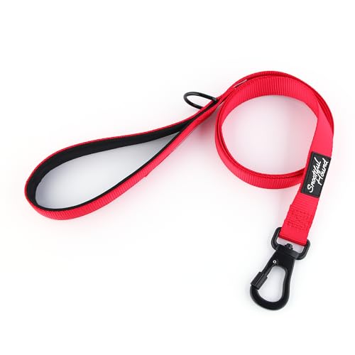 Snootiful Hound Sicher verschließbare Hundeleine mit gepolstertem Griff, Karabiner-Hundeleine (Rot, 120 cm) von Snootiful Hound
