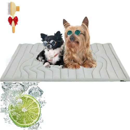 Drpfoten Kühlmatte, Pfotenchill Kühlmatte Hund, Eiskühler Stoff, Leicht Waschbar, Faltbar, für Gartenbett, Haus und Autositz (M(91 * 58cm)) von Snrtevu