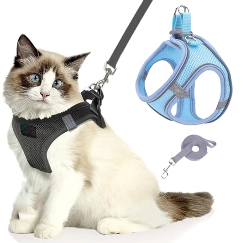 Katzengeschirr, Katzenleine Mit Geschirr füR Katzen, Atmungsaktive Bequemes Anti Ausbruch Geschirr für Katzen Mit Reflektierenden Streifen, Serenosole Catventure Katzen Leine (Blau,XS) von Snrtevu