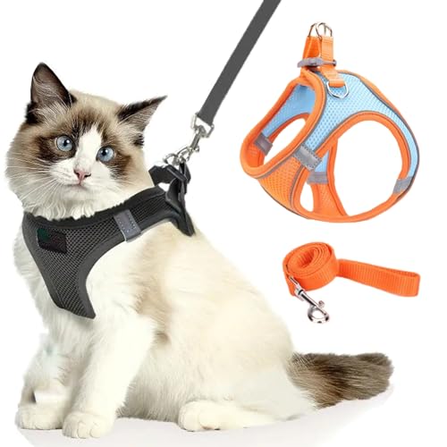 Katzengeschirr, Katzenleine Mit Geschirr füR Katzen, Atmungsaktive Bequemes Anti Ausbruch Geschirr für Katzen Mit Reflektierenden Streifen, Serenosole Catventure Katzen Leine (blau-orange,M) von Snrtevu