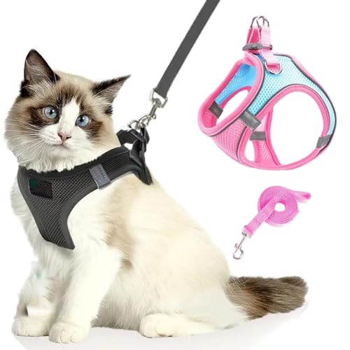 Katzengeschirr, Katzenleine Mit Geschirr füR Katzen, Atmungsaktive Bequemes Anti Ausbruch Geschirr für Katzen Mit Reflektierenden Streifen, Serenosole Catventure Katzen Leine (blau-pink,XXXS) von Snrtevu