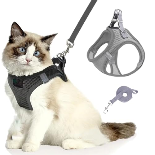 Katzengeschirr, Katzenleine Mit Geschirr füR Katzen, Atmungsaktive Bequemes Anti Ausbruch Geschirr für Katzen Mit Reflektierenden Streifen, Serenosole Catventure Katzen Leine (grau,M) von Snrtevu