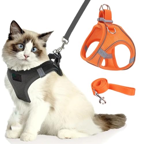 Katzengeschirr, Katzenleine Mit Geschirr füR Katzen, Atmungsaktive Bequemes Anti Ausbruch Geschirr für Katzen Mit Reflektierenden Streifen, Serenosole Catventure Katzen Leine (orange,S) von Snrtevu