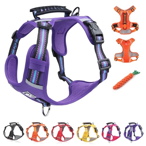 Kein Zug-Hundegeschirr FüR Haustiere, Atmungsaktives Und ExplosionsgeschüTztes Haustiergeschirr, Breathable & Soft Chest Harness Reflective, for Dogs Walking Running Train (A Purple,L) von Snrtevu