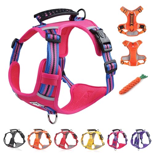 Kein Zug-Hundegeschirr FüR Haustiere, Atmungsaktives Und ExplosionsgeschüTztes Haustiergeschirr, Breathable & Soft Chest Harness Reflective, for Dogs Walking Running Train (A Rose red,XS) von Snrtevu