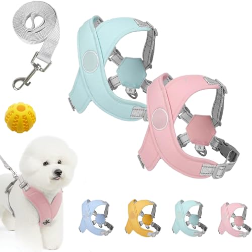 Kein Zug-Hundegeschirr Für Haustiere, Chewie Cozy Harness, Chewie Dog Harness, Hundegeschirr Gepolstert, Für Kleine Hunde Mittelgroße Hunde, Reflektierend, Einstellbar (2PCS-1,S (4–7 kg)) von Snrtevu