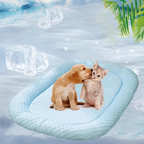 KittyCool - Kühlendes Katzenbett mit Eisseide, Kühlendes Sofabett Hund, Kühlendes Kundebett Sommerkühlung für drinnen und draußen, Der ultimative kühlkomfort für Deine Katze und Hund (Blue,S) von Snrtevu