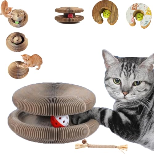 Kratzkokon, Neueste Tragbare Pet Cat Scratch Board, Faltbares Katzenspielzeug Für Kratzen, Spielen, Jagen Und Ausruhen, Mit Ball, Junge Katze, Widerstandsfähig, Reversibel (Stil-1,1PC) von Snrtevu