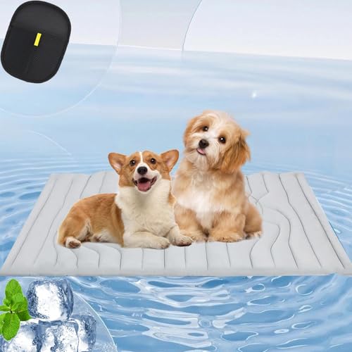 Mondpfote Kühlmatte, Mondpfote Chillcare Pro Für Kiste, Boden, Autositz, Kühlmatte Für Hunde, Doppelseitiges, Sanftes, Verschleißfestes Design,Kühlmatte Hund Ideal Für Heiße Tage (Grey,M-91 * 58 cm) Mondpfote Kühlmatte, Mondpfote Chillcare Pro Für Kiste, Boden, Autositz, Kühlmatte Für Hunde, Doppelseitiges, Sanftes, Verschleißfestes Design,Kühlmatte Hund Ideal Für Heiße Tage (Grey,M-91 * 58 cm) von Snrtevu