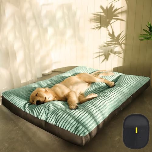 Mondpfote Orthocloud Pro, Hundekissen Waschbar Cord Mit Orthopädische Gelenkunterstützung, Hundebett Grosse Hunde, Abziehbar, Für Kleine Bis Große Hunde, Rutschfeste (GREEN,3XL:120 x 95 x 7cm) von Snrtevu