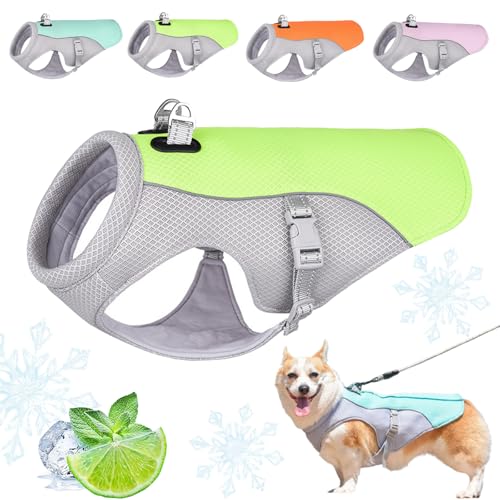 Monelia KüHlweste, KüHlweste Hund Klein, KüHlhalsband FüR Hunde Mit Reflektierender Streifenposition, Atmungsaktives Mesh Verstellbarer FüR AktivitäTen DraußEn, Wandern, Training (Grün,2XL) von Snrtevu