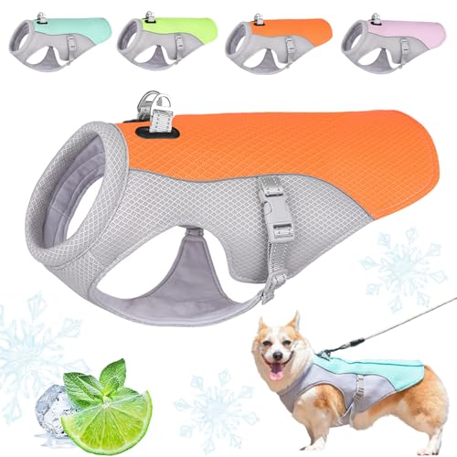 Monelia KüHlweste, KüHlweste Hund Klein, KüHlhalsband FüR Hunde Mit Reflektierender Streifenposition, Atmungsaktives Mesh Verstellbarer FüR AktivitäTen DraußEn, Wandern, Training (Orange,L) von Snrtevu