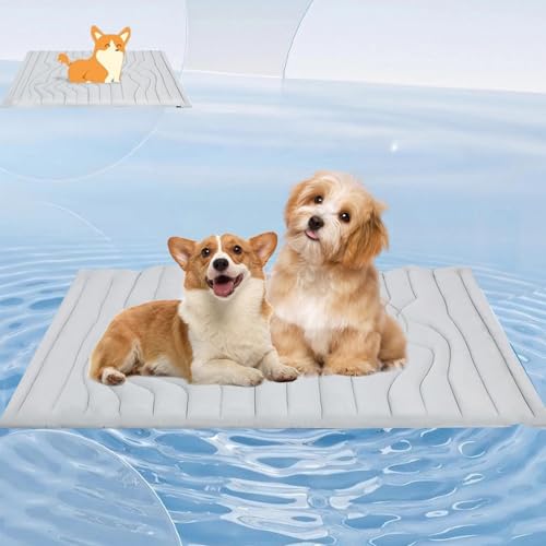 Pfotenchill - Die Innovative Kühlmatte Für Hunde, Kühlmatte Hund Aus Kühlgewebe Wendbar, Maschinenwaschbar, Selbstkühlende Pads Sicher Und Komfortabel Für Deinen Hund (M) von Snrtevu